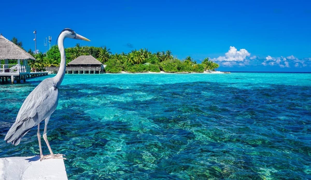 Eri Maldives (Ex. Eriyadu Island Resort)