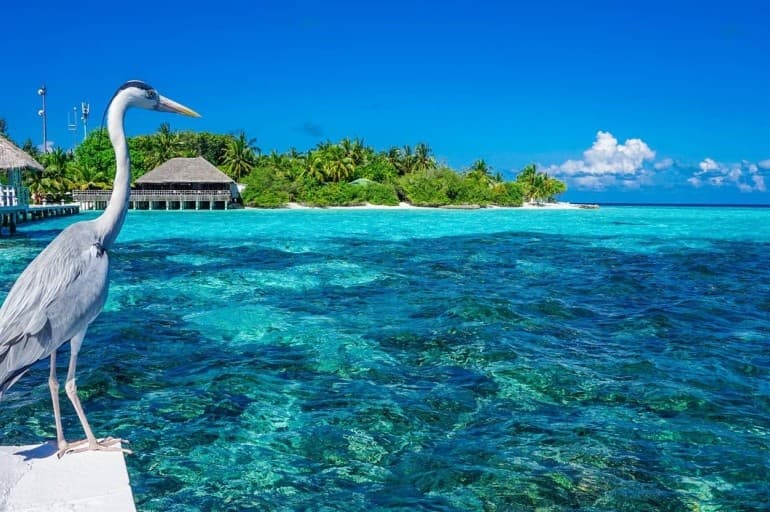 Eri Maldives (Ex. Eriyadu Island Resort)